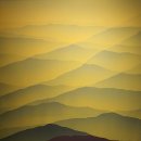 바람의 정원 이미지