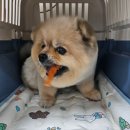 베럴라이프(BetterLife) 이미지