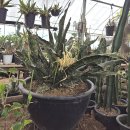 연월농장 이미지