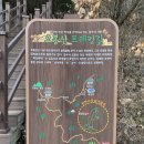 건천편백숲내음길 티스토리