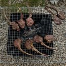 알멕스 | 연천 알멕스캠핑장 후기 — 양갈비 숯불 파티 &amp; 불꽃놀이까지 완벽했던 하루