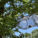 여주목장 이미지