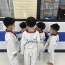 일비태권도장 이미지