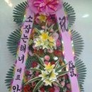 윤가네축산