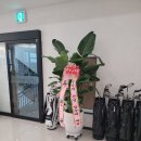 문지렌트 이미지