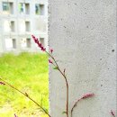 건축사사무소 예담 이미지