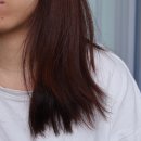 헤어오일추천 모로칸오일 트리트먼트 이제야 써 본 후기