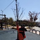 우로지 자연숲 황토길 이미지
