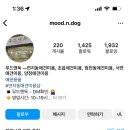 무드앤독 이미지