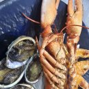 군산벽란도횟집 이미지