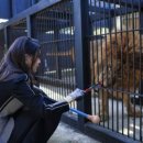 멍스토랑 이미지