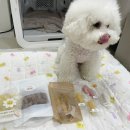 아이스크림멍냥 이미지