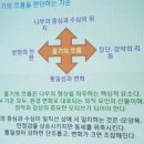 [통쾌 분재교실 1기] - 21강 아름다운 나무 만들기2 이미지