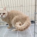 동부동물병원 이미지