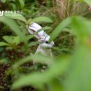 수망일기 이미지