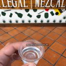 와하카 | 2025/02 오악사카/와하카 GetYourGuide 메즈칼 여정(Mezcal Journey) 후기