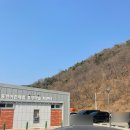 대부해솔길 1-1코스(순환코스) | 서울 근교 주말 가볼만한곳 대부도 구봉도 해솔길 낙조전망대 코스