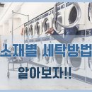 크린가가 이미지