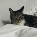 이서메디칼 이미지