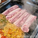 탐라도야지 네이버블로그