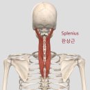 마천경희한의원 이미지