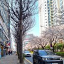 스텔라 떡볶이 인천구월점 이미지