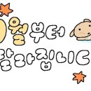 데이드림 이미지