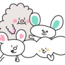 우연공인중개사사무소 이미지