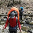 숲속 정원 이미지