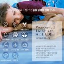 프랜즈 세탁 이미지