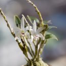 홍일농장 이미지