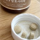 지푸라기파트너스 | 갱년기 탈모와 푸석한 머릿결, '서리맥스 129 발효서리태' 3개월 솔직 후기 (뜻밖의 효과까지?)