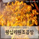 왕십리문화공원 | 서울동대문노포맛집 DDP24시포장마차 동대문곱창볶음맛집 &#39;왕십리원조곱창&#39;