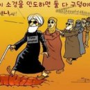 배도