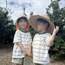 성산떡방앗간 | (2025/09/12-15) 한번 더 제주, 4살 쌍둥이랑