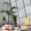 머물다 스테이 이미지