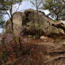 송구가든 이미지