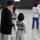 근화태권도장 네이버블로그