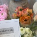윈디그라스 이미지