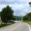 화심장어 이미지