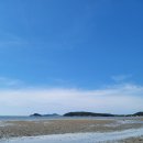 철이네물회전문점 | 인천| 영종도 철이네 물회 전문점 내돈내산 솔직후기