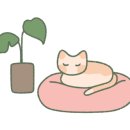 차엘브로우 이미지