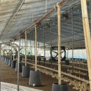 고창축산 이미지