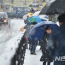 대구송정초등학교 이미지