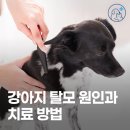 주안 메디컬센타 이미지