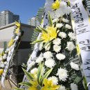 대전용산초교 이미지