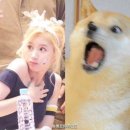 일이삼 이미지