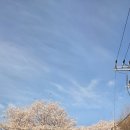 로터리길 | 천왕봉 산행기 (중산리 코스 완주 후기)중산리 → 칼바위 → 로터리 대피소 → 천왕봉 → 제석봉...