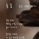 르노코리아자동차서비스코너 율량점 이미지