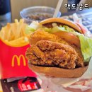 마라시즌 | 맥도날드 메뉴 가격 맥크리스피 마라 해쉬 버거 세트 단종